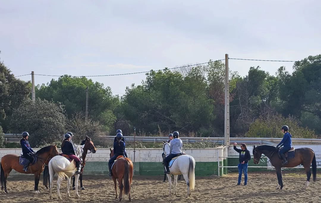 Celebración de cumpleaños infantiles con ponis y merienda en Madrid