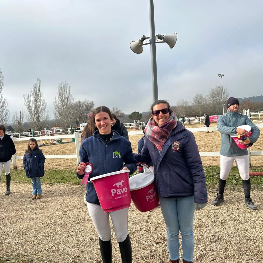 Servicio de pupilaje de caballos en Madrid con cuidado integral