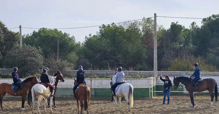 Escuela de equitación en Madrid para niños y principiantes