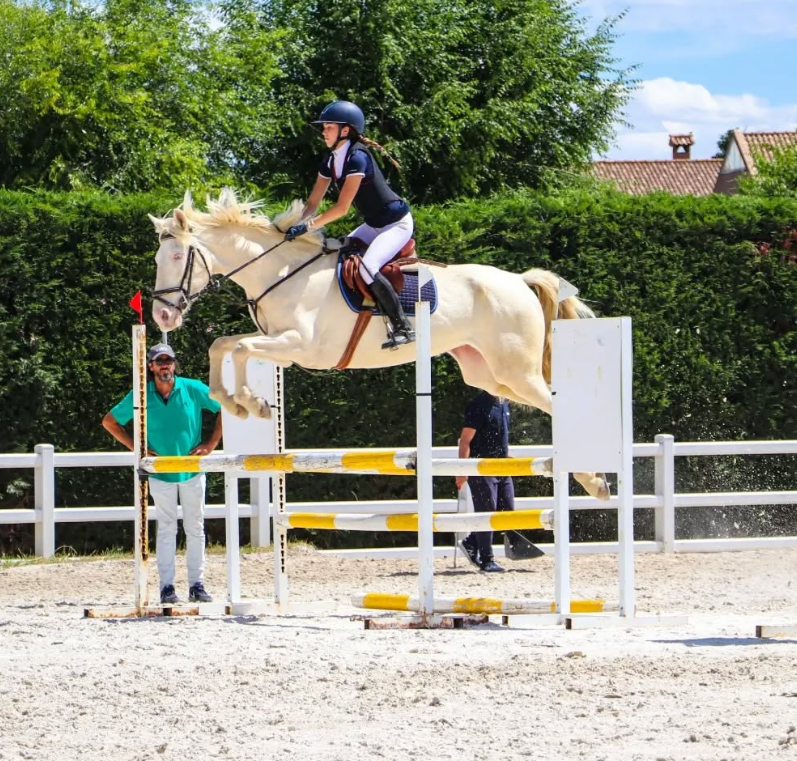 Paseos a caballo por el campo cerca de Madrid centro