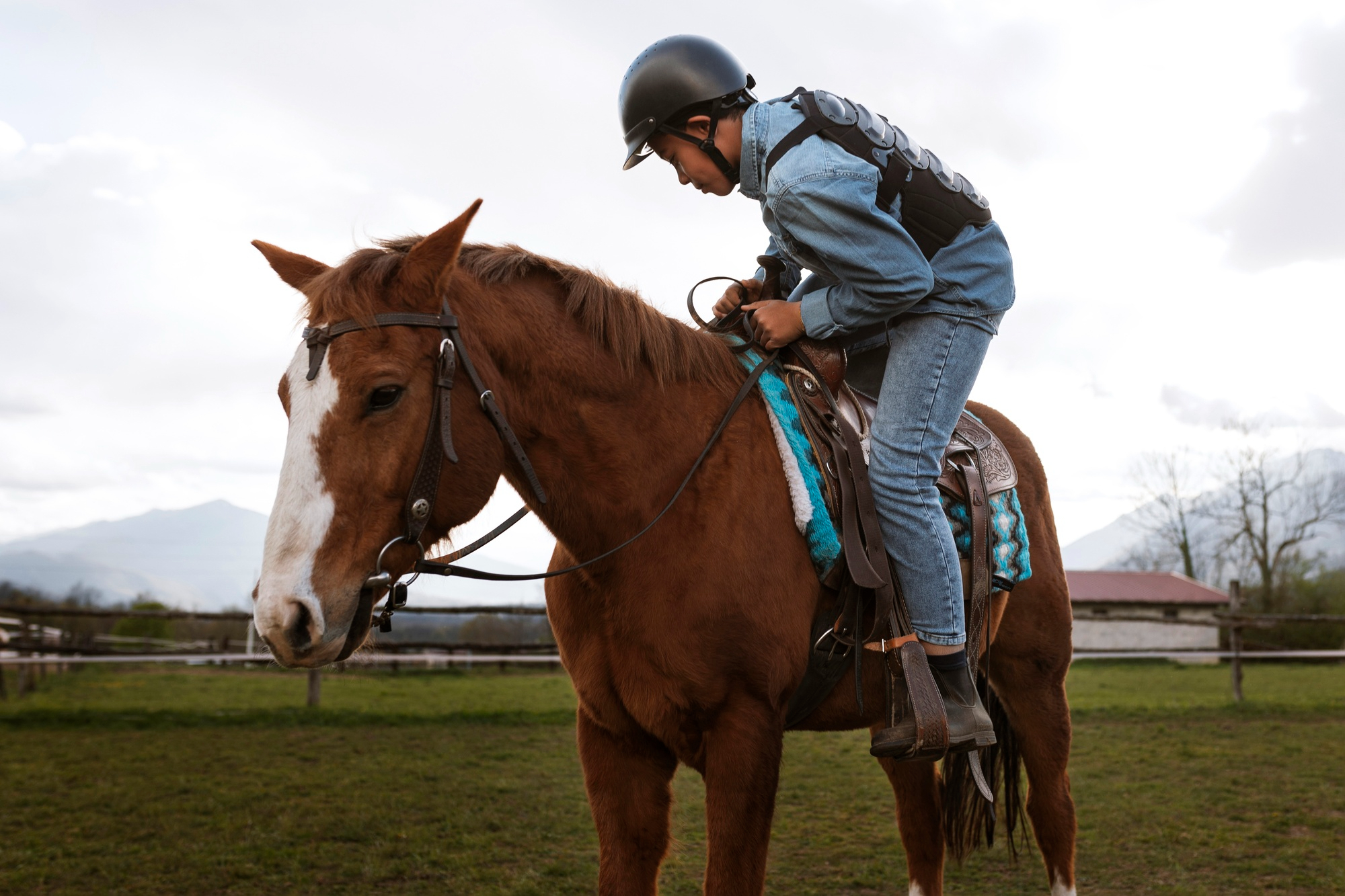 Aprender a montar a caballo en Madrid escuela Hípica Montenegro
