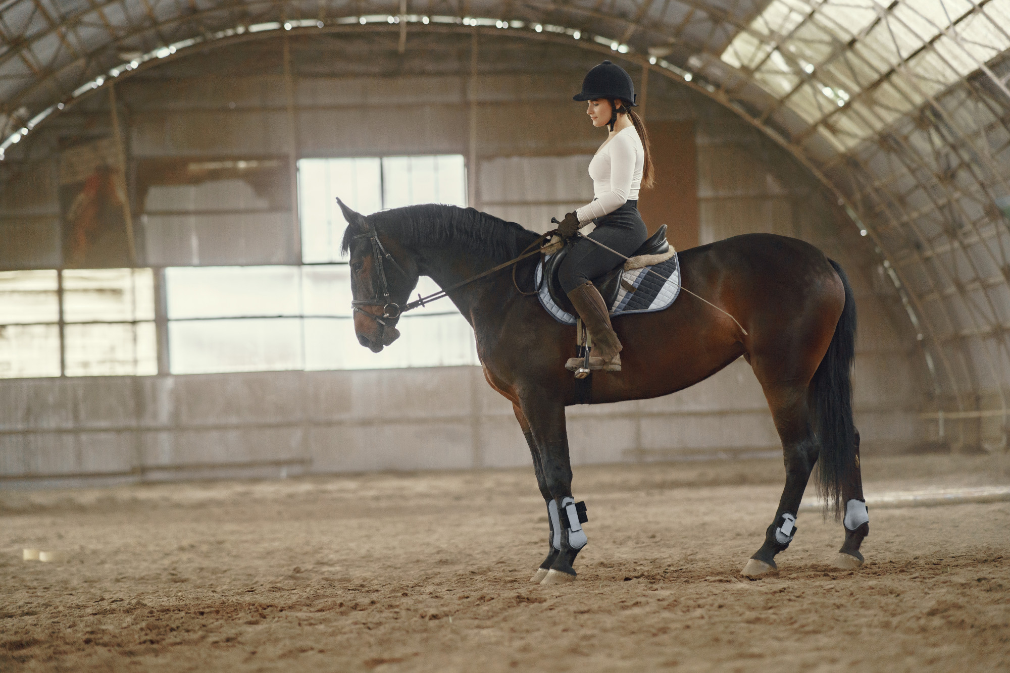 Excursiones y rutas a caballo para parejas en Madrid El Pardo