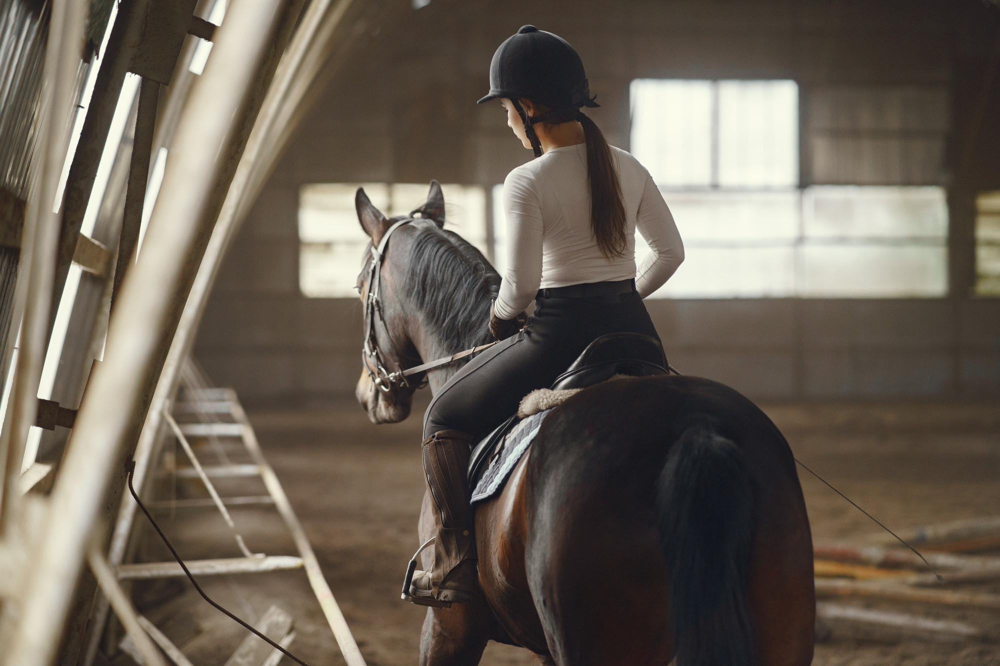 Pupilaje de caballos en Madrid alimentación y limpieza profesional